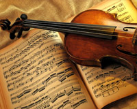 violi